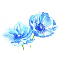 anemones-blue